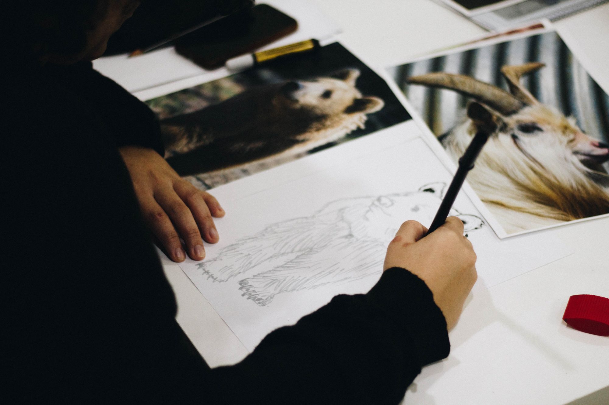 Don’t Start your Model from Scratch - Use Transfer Learning