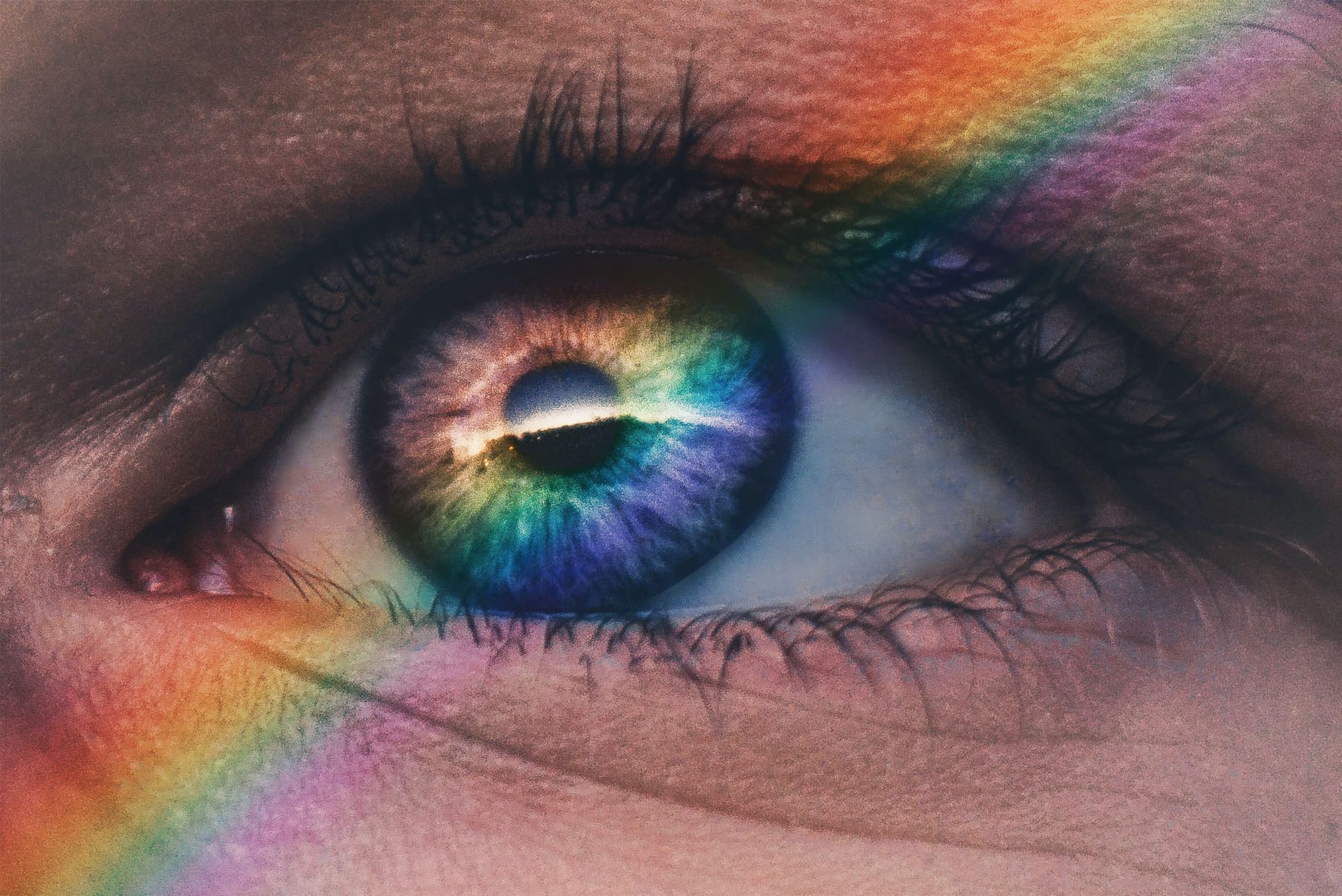 Use Case: Retinal OCT