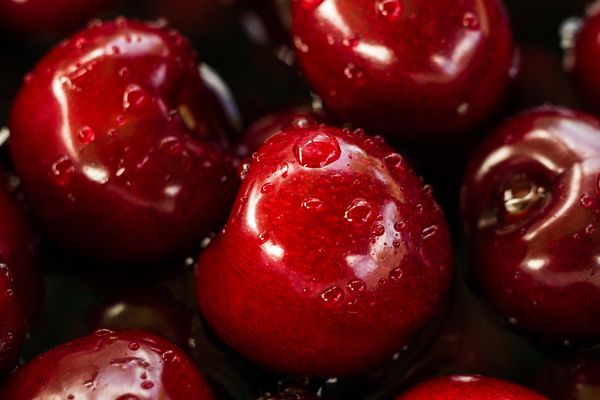 Use Case: Classifying Fruit