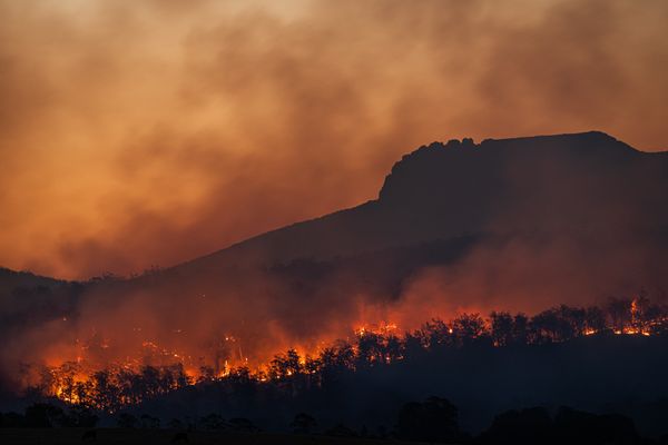 Use Case: Wildfire Detection